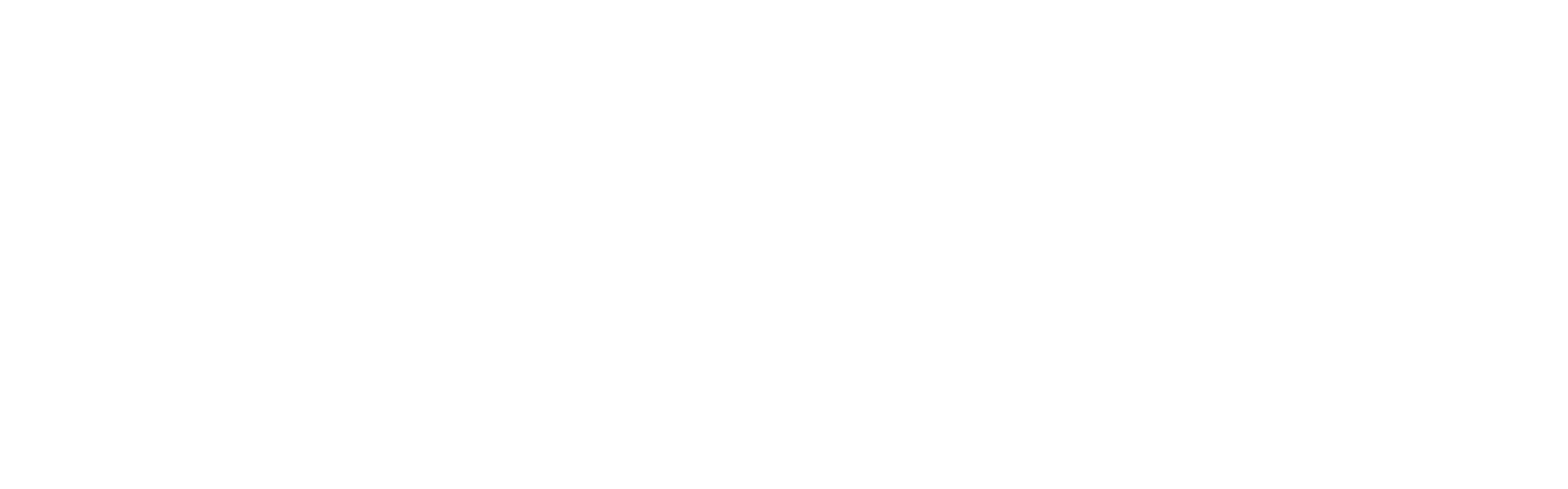 Niclas Schnell Logo